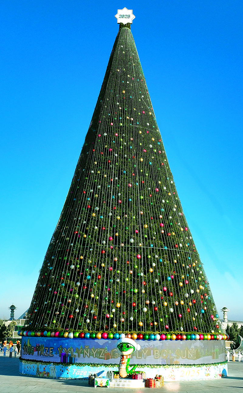 President Serdar Berdimuhamedov took part in the New Year's celebrations